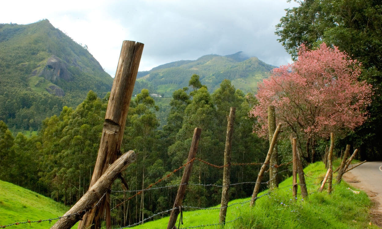 From Melting Pot to Multiculturalism